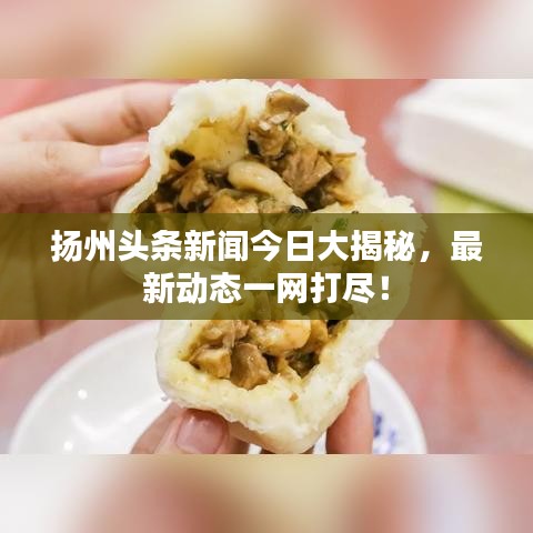 扬州头条新闻今日大揭秘，最新动态一网打尽！