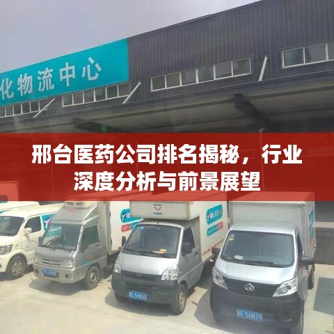 邢台医药公司排名揭秘，行业深度分析与前景展望