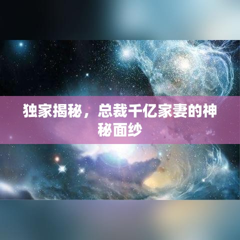 独家揭秘，总裁千亿家妻的神秘面纱