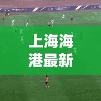 上海海港最新今日动态