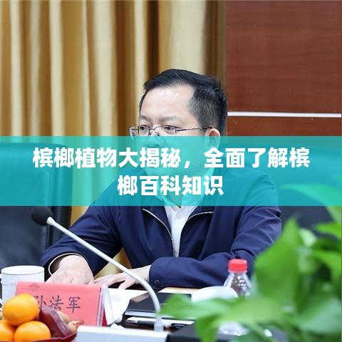 槟榔植物大揭秘，全面了解槟榔百科知识