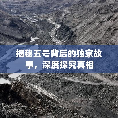 揭秘五号背后的独家故事，深度探究真相