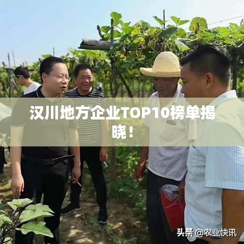 汉川地方企业TOP10榜单揭晓！