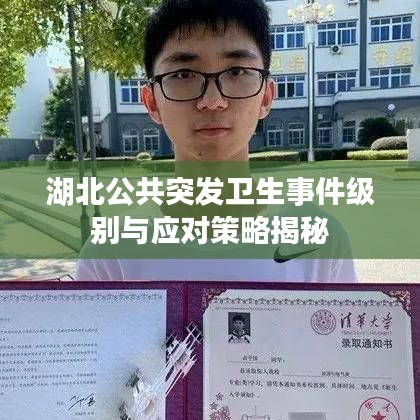 湖北公共突发卫生事件级别与应对策略揭秘