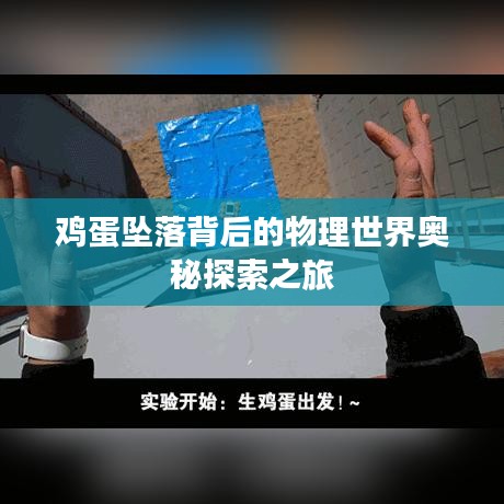 鸡蛋坠落背后的物理世界奥秘探索之旅