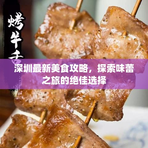 深圳最新美食攻略，探索味蕾之旅的绝佳选择