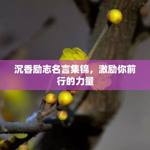 沉香励志名言集锦，激励你前行的力量