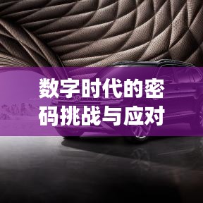 数字时代的密码挑战与应对策略，如何安全高效应对不断变化的密码需求？