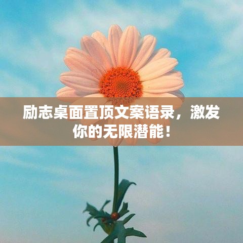 励志桌面置顶文案语录，激发你的无限潜能！