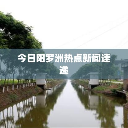 今日阳罗洲热点新闻速递