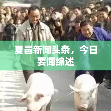 夏邑新闻头条，今日要闻综述