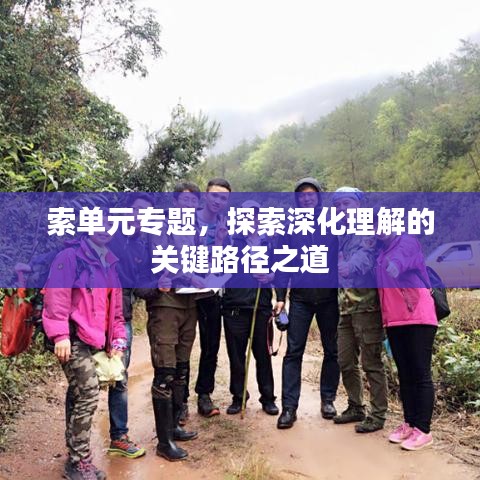 索单元专题，探索深化理解的关键路径之道