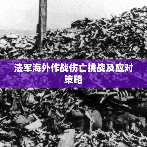 法军海外作战伤亡挑战及应对策略