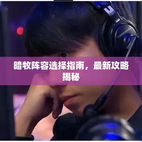 暗牧阵容选择指南，最新攻略揭秘