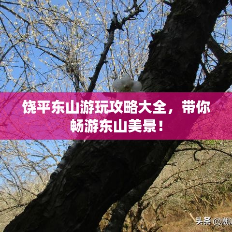 饶平东山游玩攻略大全，带你畅游东山美景！