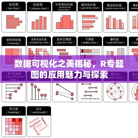 数据可视化之美揭秘，R专题图的应用魅力与探索