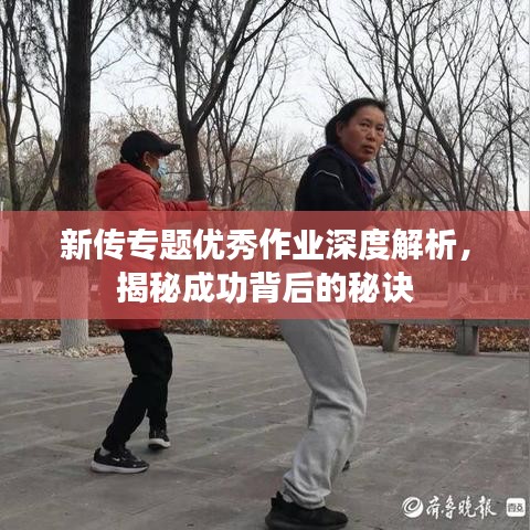新传专题优秀作业深度解析，揭秘成功背后的秘诀
