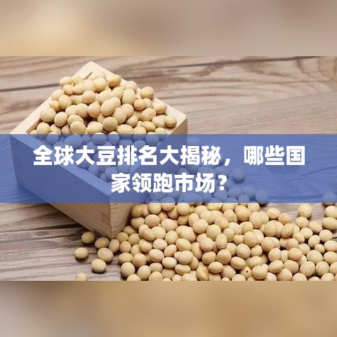 全球大豆排名大揭秘，哪些国家领跑市场？